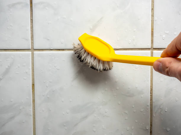 Best Localized Mold Remediation (e.g., coastal areas, humid climates) in Duncanville, TX
