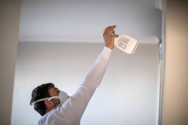 Best Commercial Mold Remediation in Duncanville, TX