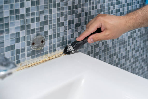 Best Mold Remediation for Specific Building Types in Duncanville, TX